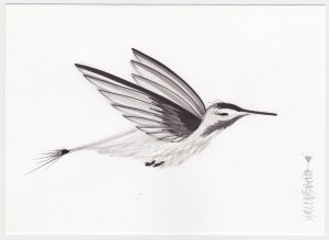 While there is still much hesitation in this little Sumi painting, I feel I am moving in the right direction.