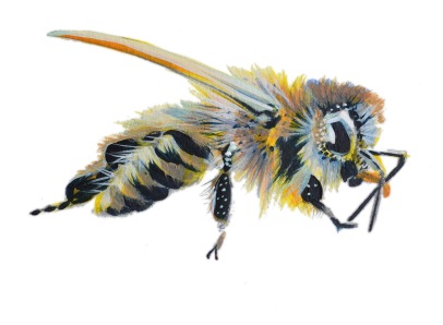 Honey Bees are often Mis-Represented in Arthttps://www.kickstarter.com/projects/ryanfalenlee/rivendell-apiaries